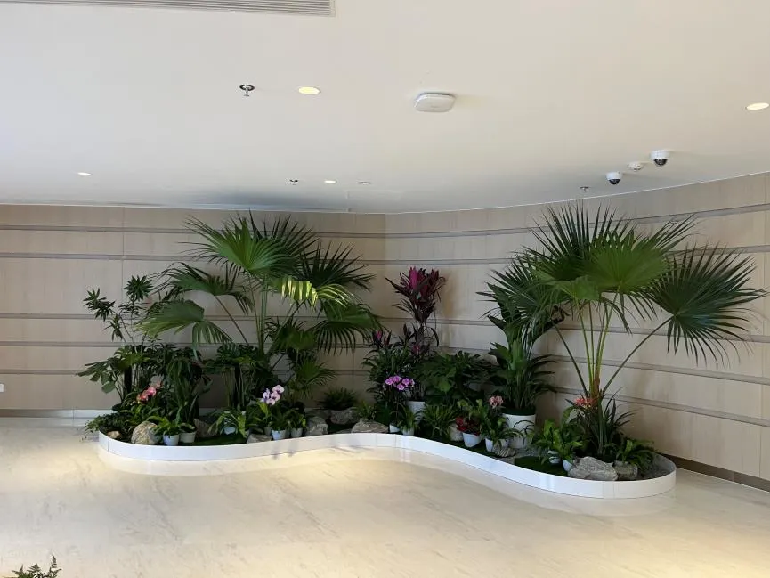 绝了！海曙植物租摆服务好的这家超牛！